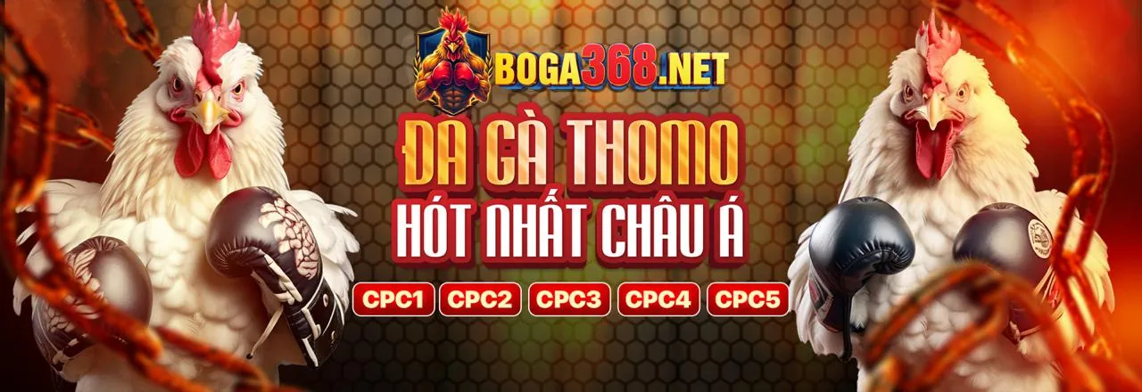 Hình ảnh Điều khoản Dịch vụ chuyên nghiệp của SV66 hiện đang mở